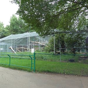 Snow Leopard Exhibit