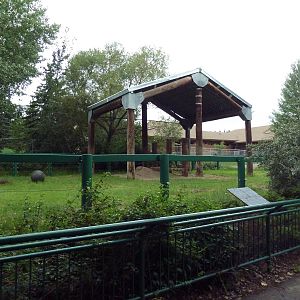 Asian Elephant Exhibit