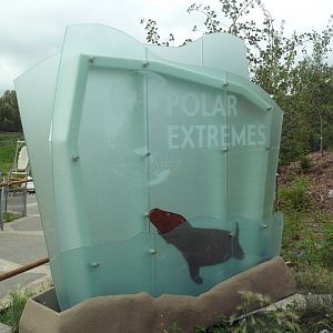 Polar Extremes: Arctic Shores (New in 2012)