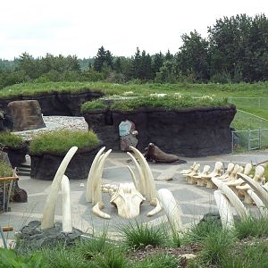 Polar Extremes: Arctic Shores (New in 2012)