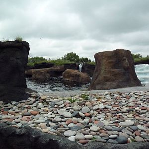 Polar Extremes: Arctic Shores (New in 2012)