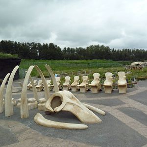 Polar Extremes: Arctic Shores (New in 2012)