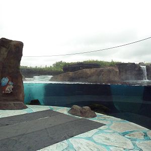 Polar Extremes: Arctic Shores (New in 2012)