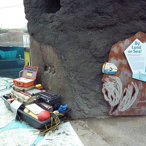 Polar Extremes: Arctic Shores (New in 2012)