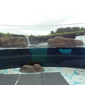 Polar Extremes: Arctic Shores (New in 2012)