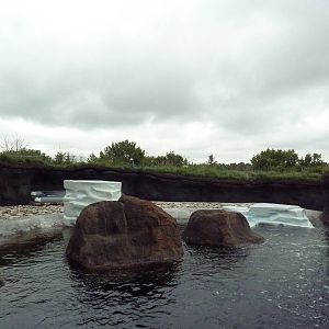 Polar Extremes: Arctic Shores (New in 2012)