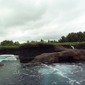 Polar Extremes: Arctic Shores (New in 2012)