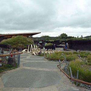 Polar Extremes: Arctic Shores (New in 2012)