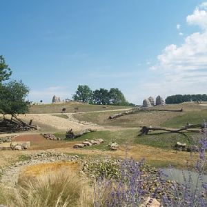 Savannah in Zoom Erlebniswelt