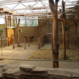 Inner giraffe enclosure @ Duisburg zoo