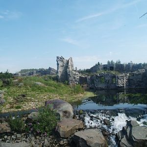 Kodiak Bear Enclosure @ Zoom Erlebniswelt
