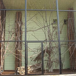 Copenhagen Zoo - World of Primates