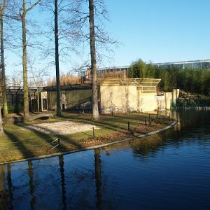 Asian lion enclosure at Planckendael