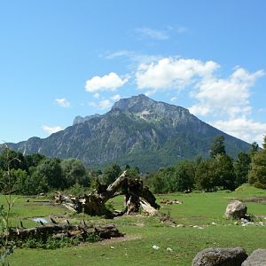 Salzburg's african plain