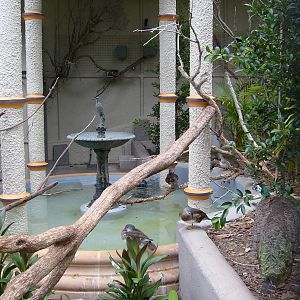 The renovated Moore Park avairy .Taronga