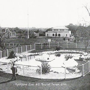 Sea Lion Exhibit - early 1920's