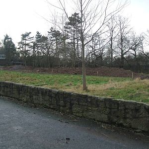 Future Cheetah Enclosure at Chester Zoo as of 5th January 2008