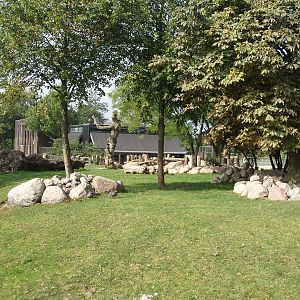 Copenhagen Zoo - Rhino enclosure