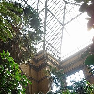 Winter Garden, Antwerp Zoo.