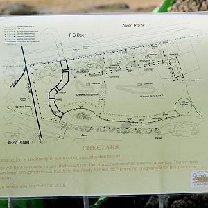 Cheetah Enclosure Plans