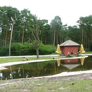 Islands for Lar Gibbons in the Asia reserve at Serengetipark Hodenhagen