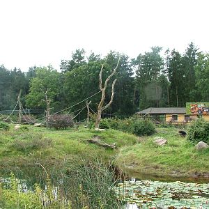 Chimp islands at Serengetipark Hodenhagen