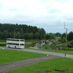 Spider monkey islands and safari bus at Serengetipark Hodenhagen