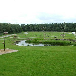 View of first African reserve at Serengetipark Hodenhagen