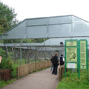 Monkey Tunnel at Serengetipark Hodenhagen