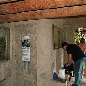 Chamois viewing area and Harvest Mouse exhibit, Salzburg Zoo