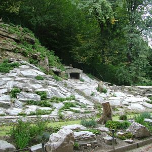 Ibex enclosure at Salzburg Zoo