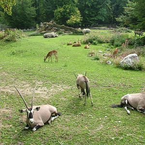 African Plains exhibit at Salzburg Zoo