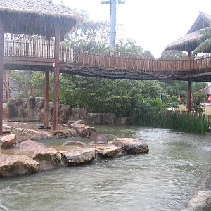 TARONGA ZOO-swimming elephant
