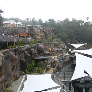 TARONGA -GSO