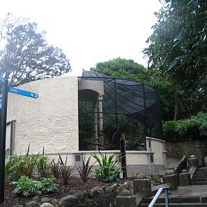 TARONGA-Moore Park Aviary