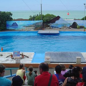 Marineland, Napier, New Zealand