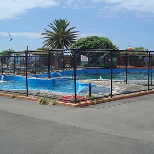 Marineland, Napier, New Zealand