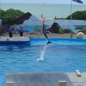 Marineland, Napier, New Zealand