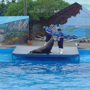 Marineland, Napier, New Zealand