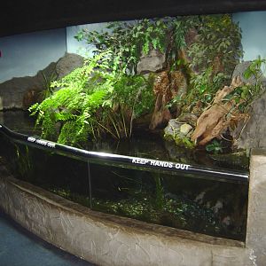 Kelly Tarlton's Underwater World