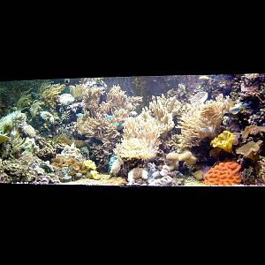 Kelly Tarlton's Underwater World