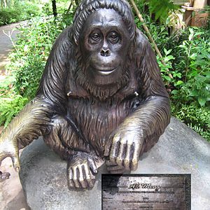 In Memory of Ah Meng