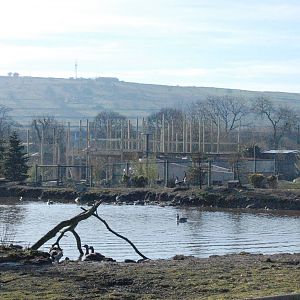 Blackbrook Penguin Walkway
