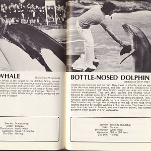 whale and dolphin pages Dudley guide 1972