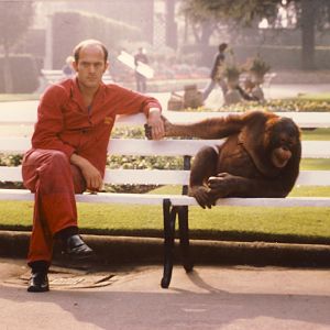 Sumatran Orang Utan Bristol Zoo 13 October 1978