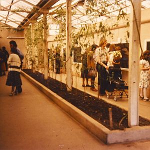 Small Mammal House interior Chester Zoo 23 April 1978