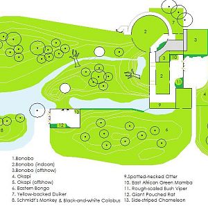 East and Central African Rainforest