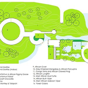 West African Rainforest