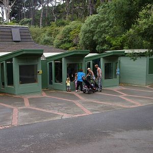 reptile enclosures at Wellington Zoo