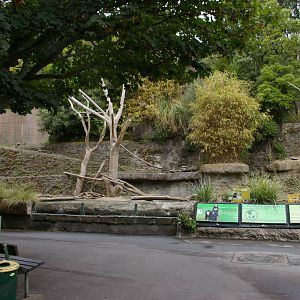 Wellington's sun bear enclosure